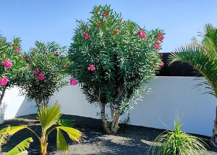 Villa Fedelian 2 Playa Blanca